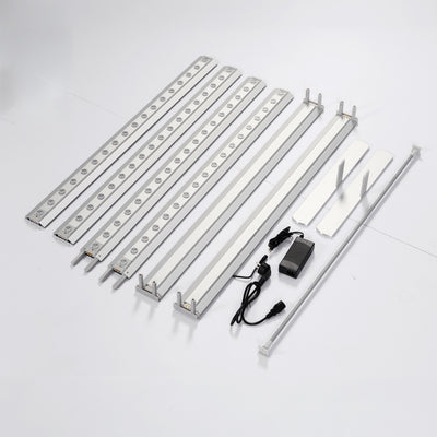 Qseg 80 Double-Sided Light Box Essential